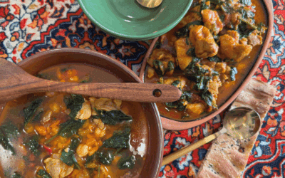 One Ingredient Recipes Chicken Ghorma and Chicken, Chickpea and Spinach Soup